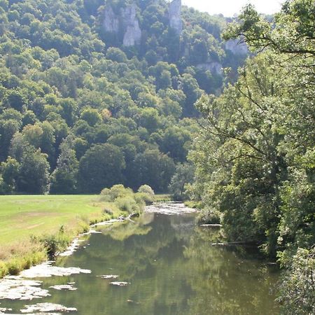 Hotel Gaestehaus Theresia Garni Muhlheim an der Donau 외부 사진