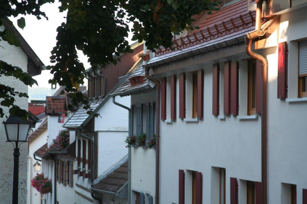 Hotel Gaestehaus Theresia Garni Muhlheim an der Donau 외부 사진