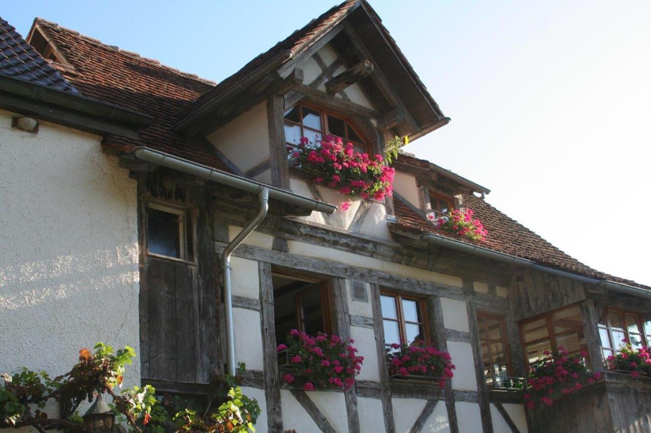 Hotel Gaestehaus Theresia Garni Muhlheim an der Donau 외부 사진