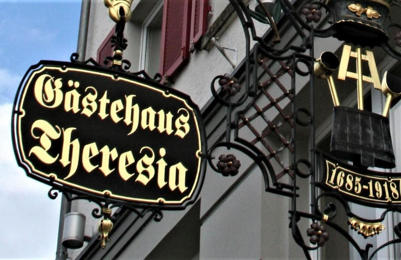 Hotel Gaestehaus Theresia Garni Muhlheim an der Donau 외부 사진